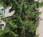 1-комн, 36кв м, этаж 1/9 ул Вокзальная, 38